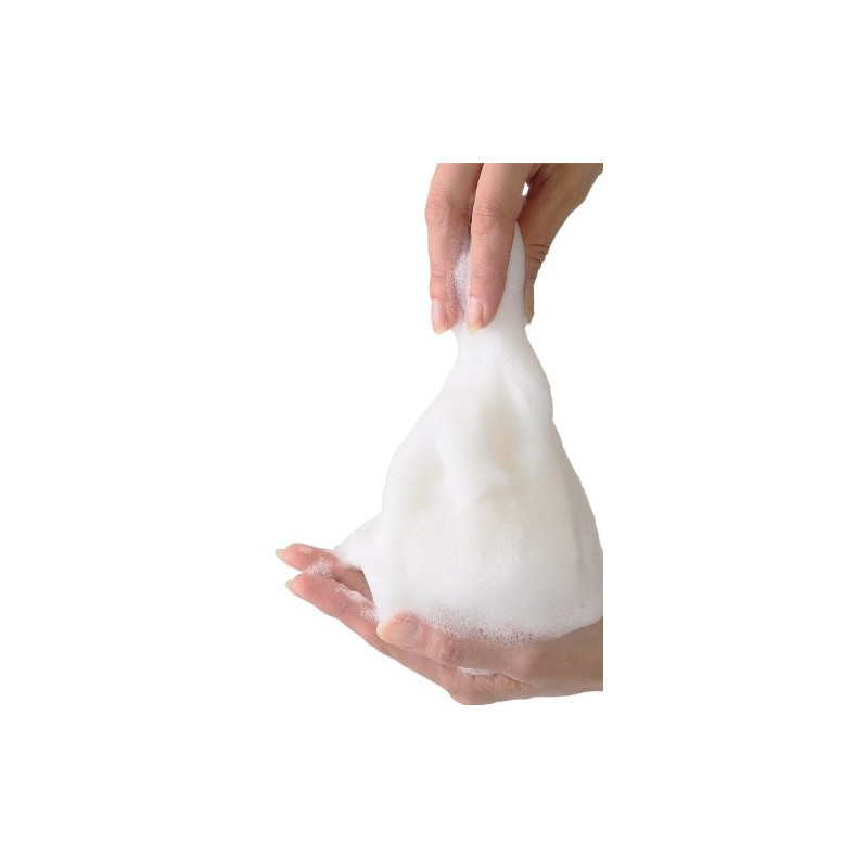 アロチャーム 洗顔フォーム 120ｇ