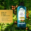 Acondicionador Herbal Essences Bio:Renew Argan Oil Of Morocco, 400 ml