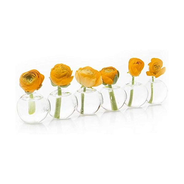 CHIVE ‘Caterpillar’ Bubble Bud Vase for Centerpieces — 6 Hole Multi Chamber Clear Glass Flower Vase for Short Flowers — Small, 10.25” Long (Set of 6)