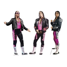 SC4586 WWE Bret Hart Three Shelf Top Cardboard Cut Outs Height 31cm - Ideal for WWE Theme, Parties, Birthdays & Fans, Room Decorations & Events