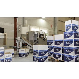 3RG 81601 Thermostat, coolant