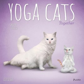 BrownTrout, Yoga Cats Together by Plato 2025 Wall Calendar