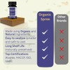 ORGANIC SPREE ORGANIC SPREE Gokshuradi Guggulu 120 Tablets - Ayurvedic