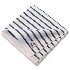 Quanzhou Towel, Bath Towel, Simple Style, Small, White/Blue, 50 x 100