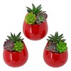 Arcadia Garden Products WP26 Small Round Wall Planter 3-Pack-Red