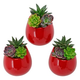 Arcadia Garden Products WP26 Small Round Wall Planter 3-Pack-Red