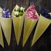 Betinyar Pack of 150 Disposable Wood Food Cone, Finger Foods