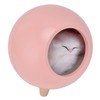 LED Night Light Pet House Shape Table Lamp USB Rechargeable