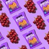 Bobo's Peanut Butter and Jelly Oat Snack Variety Pack, 10