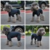 LoveLongLong Dog Jumpsuit with UV Protection and Quick-Dry Fabric for