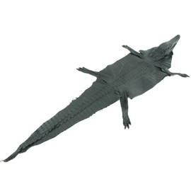 PELGIO Genuine Freshwater Crocodile Hornback Skin with Head Leather Hide Pelt Black (6" x 20")