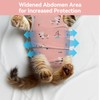 3 PCS Cat Recovery Suit for Spay Abdominal Wounds Female,