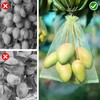 100Pcs Fruit Protection Bags 6''×9'' Fruit Bags for Fruit Trees