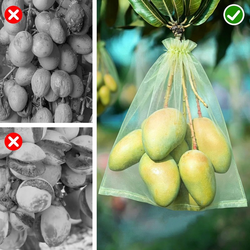 100Pcs Fruit Protection Bags 6''×9'' Fruit Bags for Fruit Trees