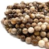 ABCGEMS American Silicified Wood Opalite Beads (Natural Formation of Opal