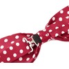 Ancoroc D onesize Men's Bowtie, Women's, Bowtie, Ribbon Tie, Striped,