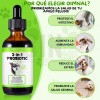 Suplemento Alimenticio Perro Probióticos Enzimas Digestivas