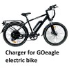 coming data power supply battery charger for GoPowerBike GoEagle ebike
