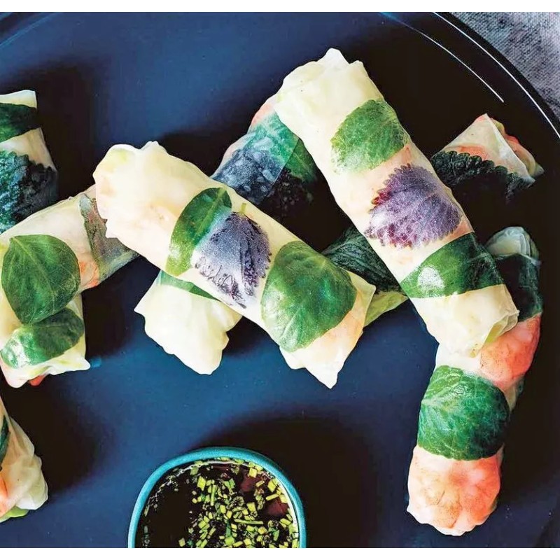 TomorrowSeeds Vietnamese Perilla (Shiso) Seeds | La Tía Tô Asian