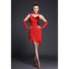Z&X Women's Salsa Latin Dance Dress Sequin Fringe Strap Party