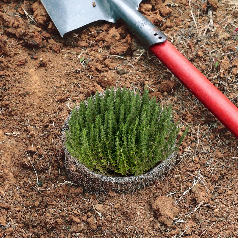 Aulock 1 Gallon Plant Root Protector for Gopher Voles Moles,