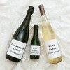 Pop the Champagne - 12 Printed Waterproof Mini Champagne Bottle