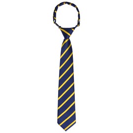 Bskifnn Kids Tie Boys Pre Tied Necktie Satin Stripe Neckties Adjustable for Age 4-7 Wedding Party Graduation Uniforms (1, Yellow, kid)