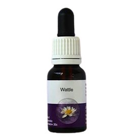 Living Essences Wattle 15ml