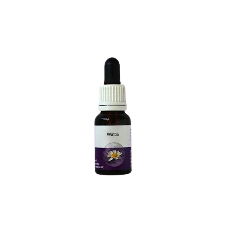 Living Essences Wattle 15ml
