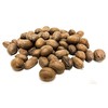 20 lbs - Texas Squirrel Pecans Inshell | Pecans.com |
