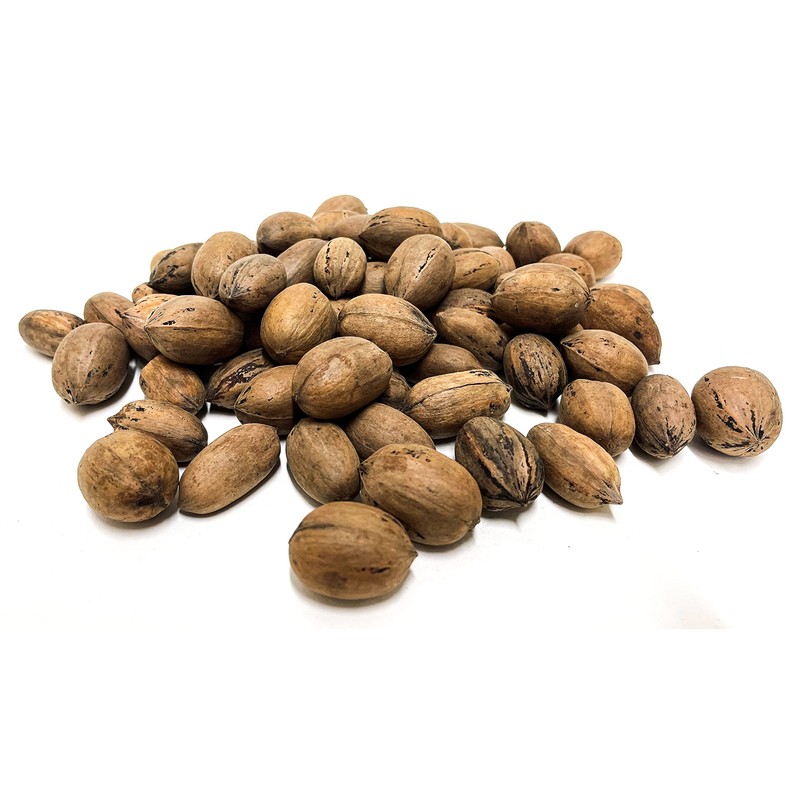 20 lbs - Texas Squirrel Pecans Inshell | Pecans.com |