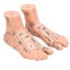 2pcs 19cm / 7.5in Feet Acupoint Model Acupuncture Teaching Aids