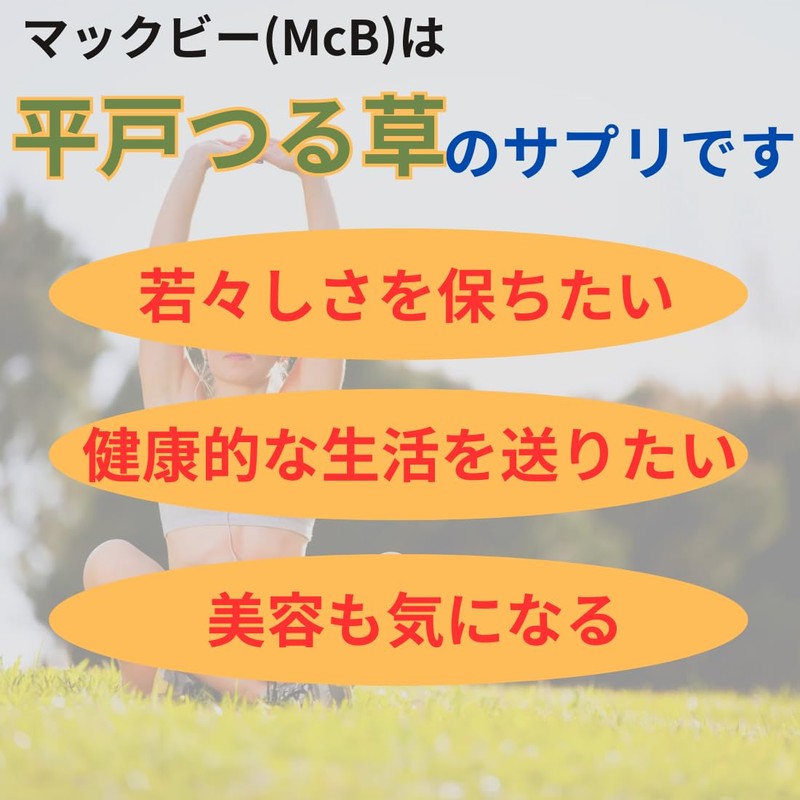 The Secret of the Incas makkubi-・ai (MCB – I) 120