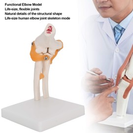 Modelo de Articulación del Codo, Modelo de Articulación del Codo, Tamaño Real, Modelo de Esqueleto del Codo Preciso, Modelo de Articulación del Hombro Deshuesado para la Enseñanza de la Exhibición del