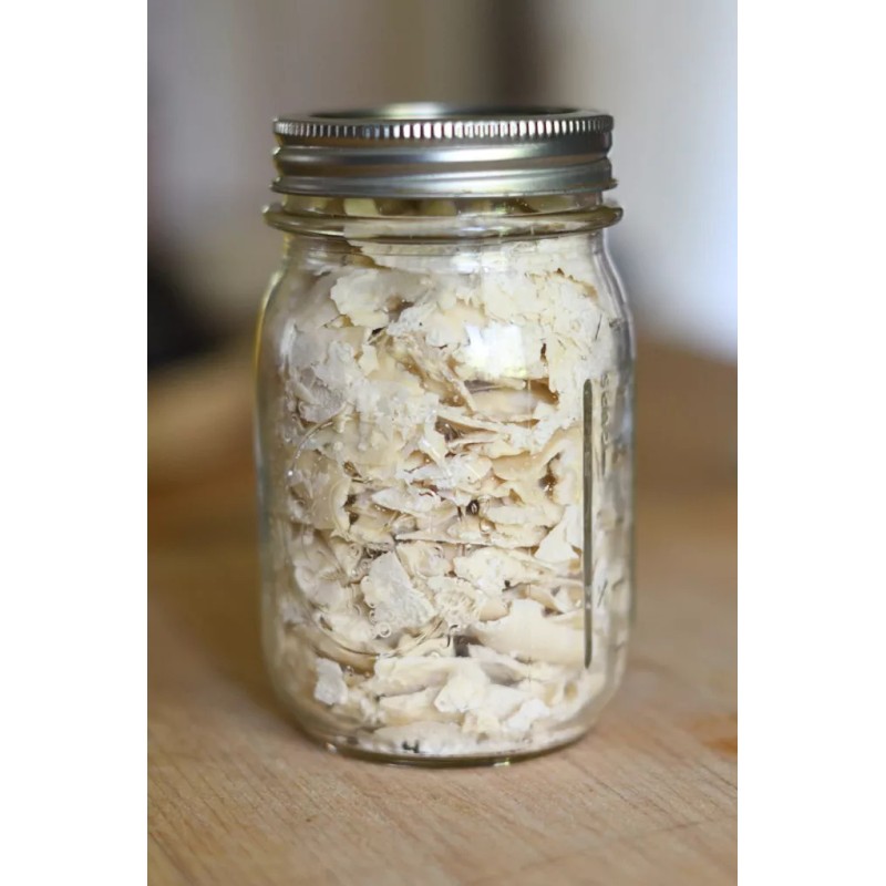 Heritage Sour San Francisco SOURDOUGH STARTER Dehydrated 200+ Yrs Old