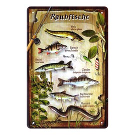 helges-shop Predatory Fish Tin Sign – Metal Sign with Catfish Perch Zander Brown Trout River Hall Pike – Retro Decorative Sign for Fishing Parlour Fishing Club – Gift Leisure and Hobby Fishing – 20 x