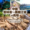 Ginseng Powder, 1.8 oz (50 g), Natural Pure Ingredients (Additive-Free),