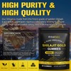 Himalayan Shilajit Gummies 60 Count – Pure Gold Shilajit with