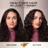 OGX, Shampoo Coconut Milk, Ideal para Cabello Seco y Dañado,