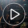 Floating Betta Hide & Shrimp Cave – 3D Printed Aquarium