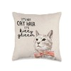 Its Not Cat Hair Its Kitty Glitter Pillow Funny Gift