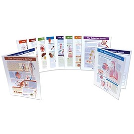 NewPath Learning Human Body Visual Learning Guide Set, Grade 6-10