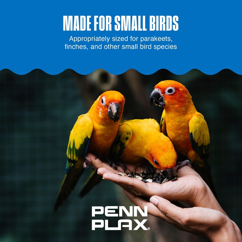 Penn-Plax Bird Life Two Flower Mirror with Bell - Interactive