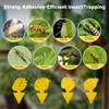 40 Pack Yellow Sticky Traps for Fruit Flies and Gnats