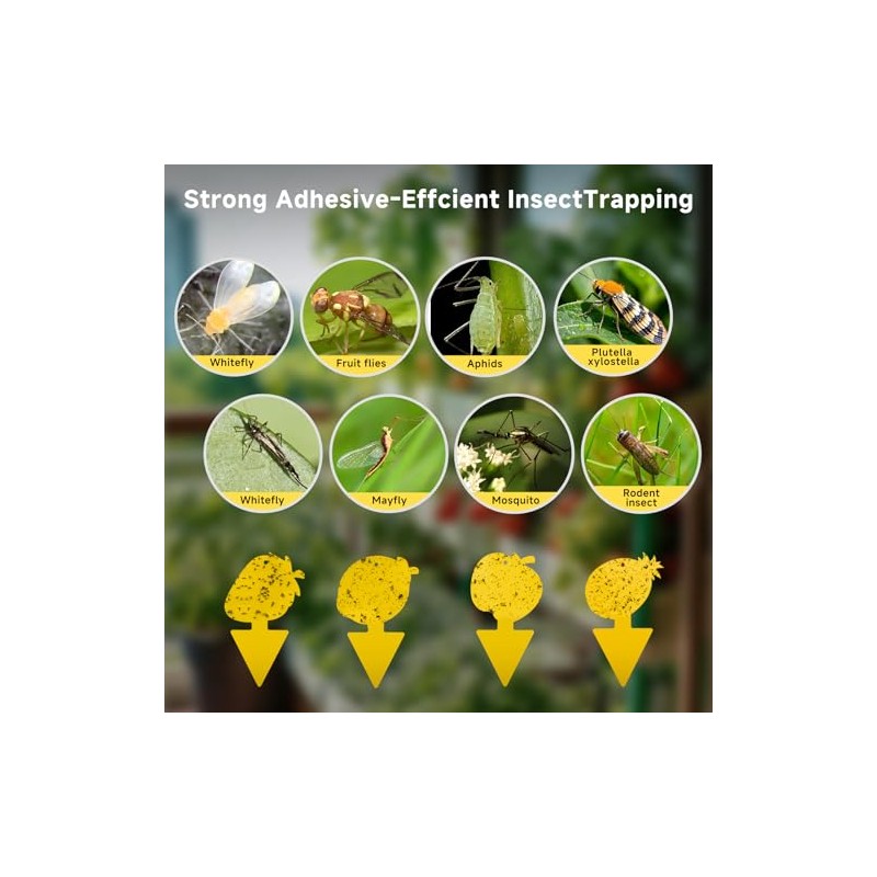 40 Pack Yellow Sticky Traps for Fruit Flies and Gnats