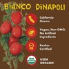 Bianco DiNapoli Organic Tomato Paste - Vine Ripened California Grown