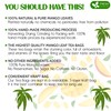 FreshDrinkUS, Premium 100 Mango Leaf Tea Bags, 100% Natural& Pure