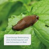 Plantura Organic Snail Grain Rainproof Power Agent Gentle on Pets