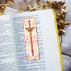FREEBLOSS 6 PCS Cross Stitch Bookmark Kits for Beginner Stamped