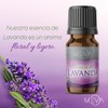 Esencias para Difusores y Humidificadores de aromas 5ml varios aromas
